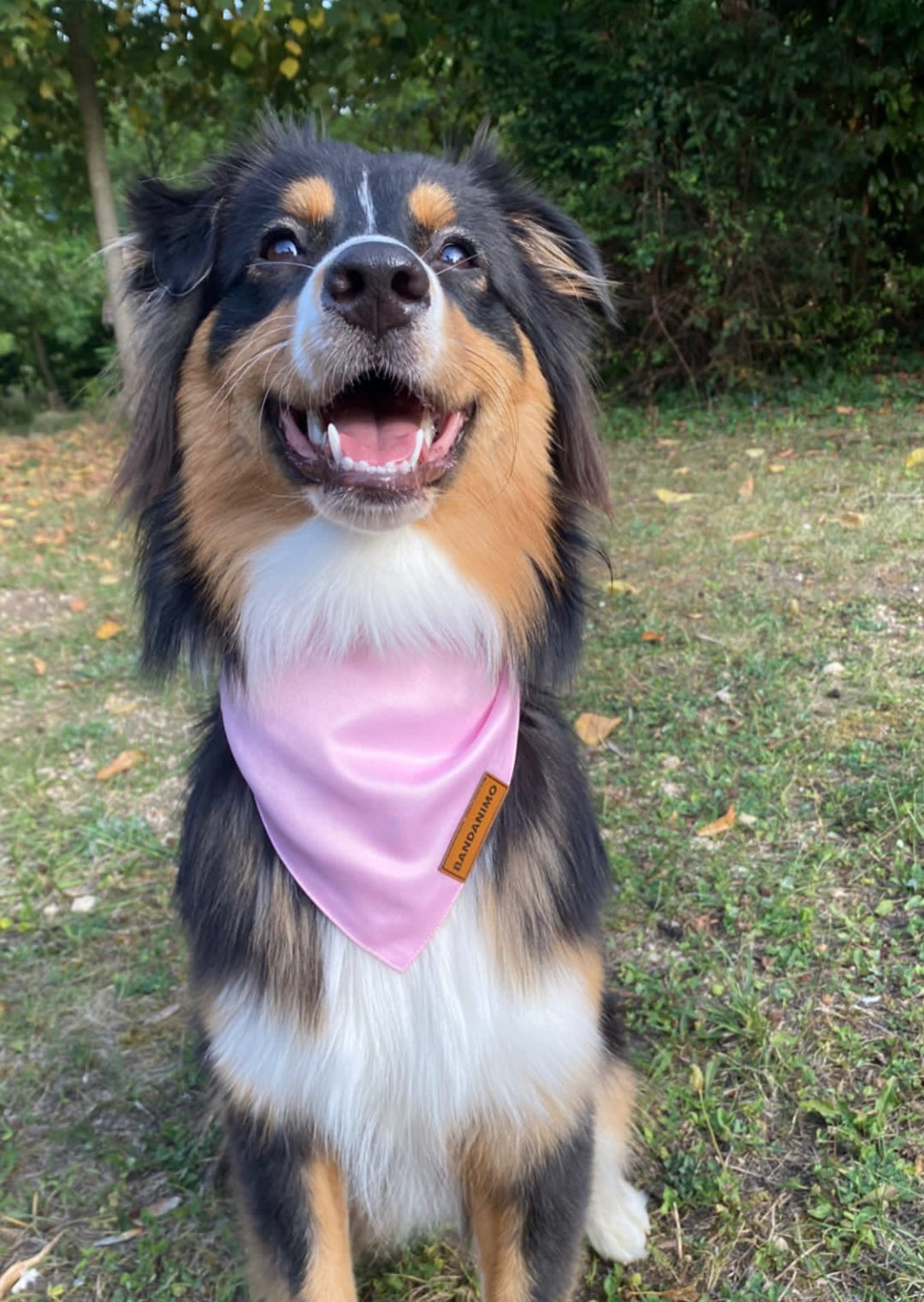 Bandana pour chien Rose Pastel