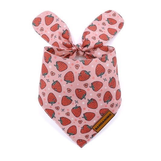 Bandana pour chien fraises