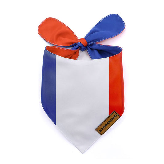 Bandana pour chien drapeau français