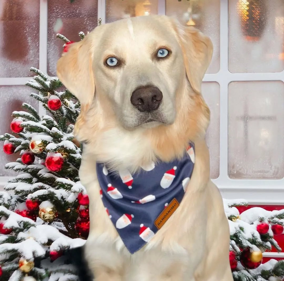 Bandana pour chien Père Noël