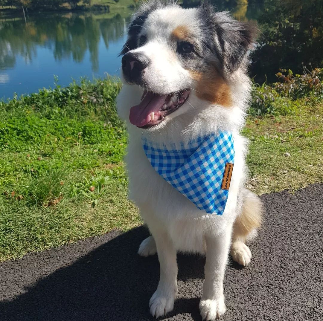 Bandana pour chien Plaid Bleu