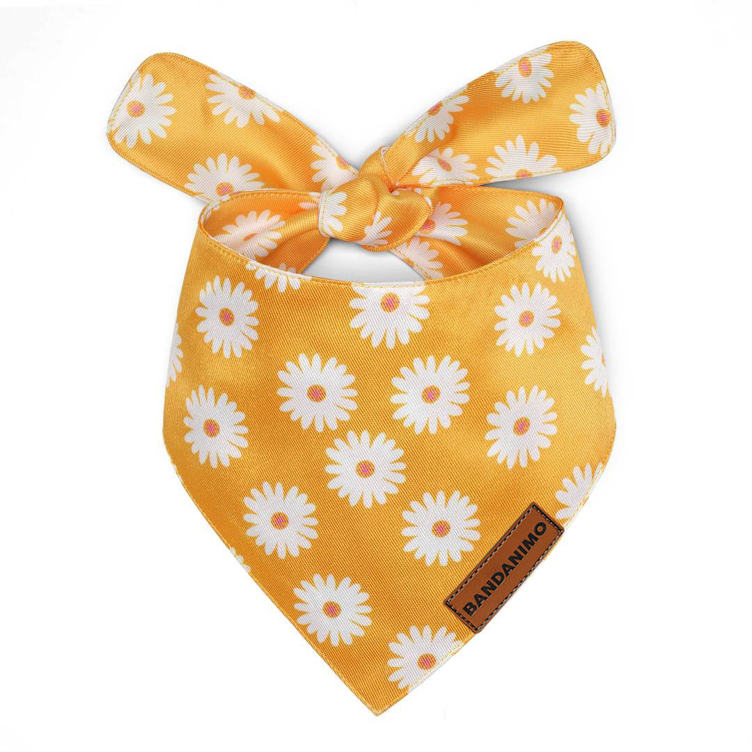 Bandana pour chien marguerites