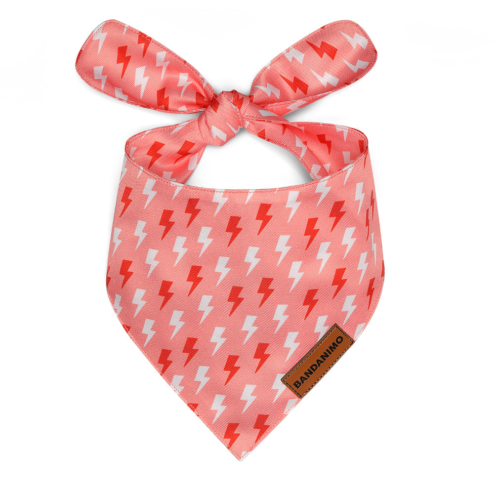 bandana pour chiens eclairs